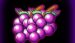 Symbol Grapes slot Turbo 27 by Kajot