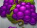 Symbol Grapes slot Bonus Joker II by Apollo Games