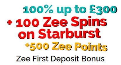 Bonuses in Playzee casino app