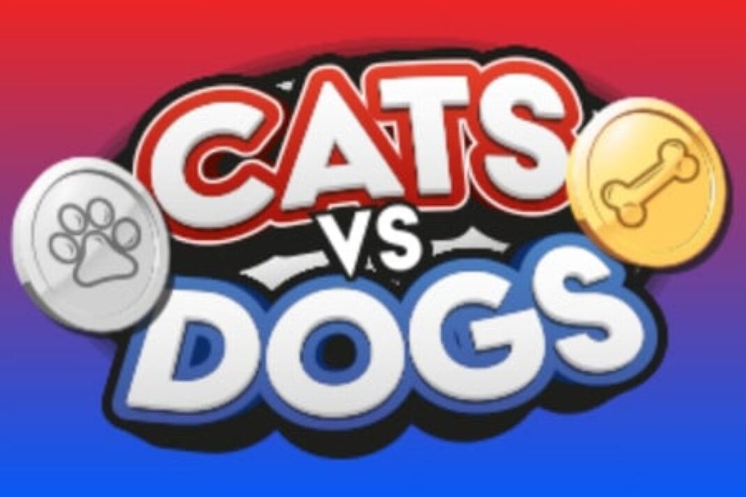 Cats VS Dogs