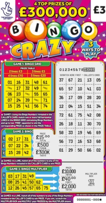 Sample of a cut lottery ticket Bingo Crazy