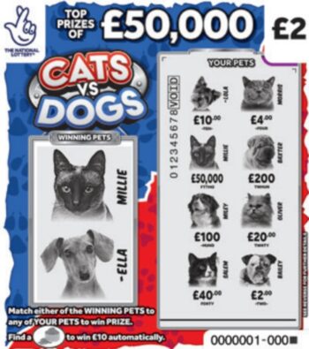 Sample of a cut lottery ticket Cats Vs Dogs