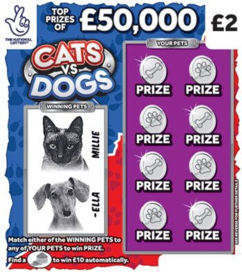 Sample of an uncut lottery ticket Cats Vs Dogs