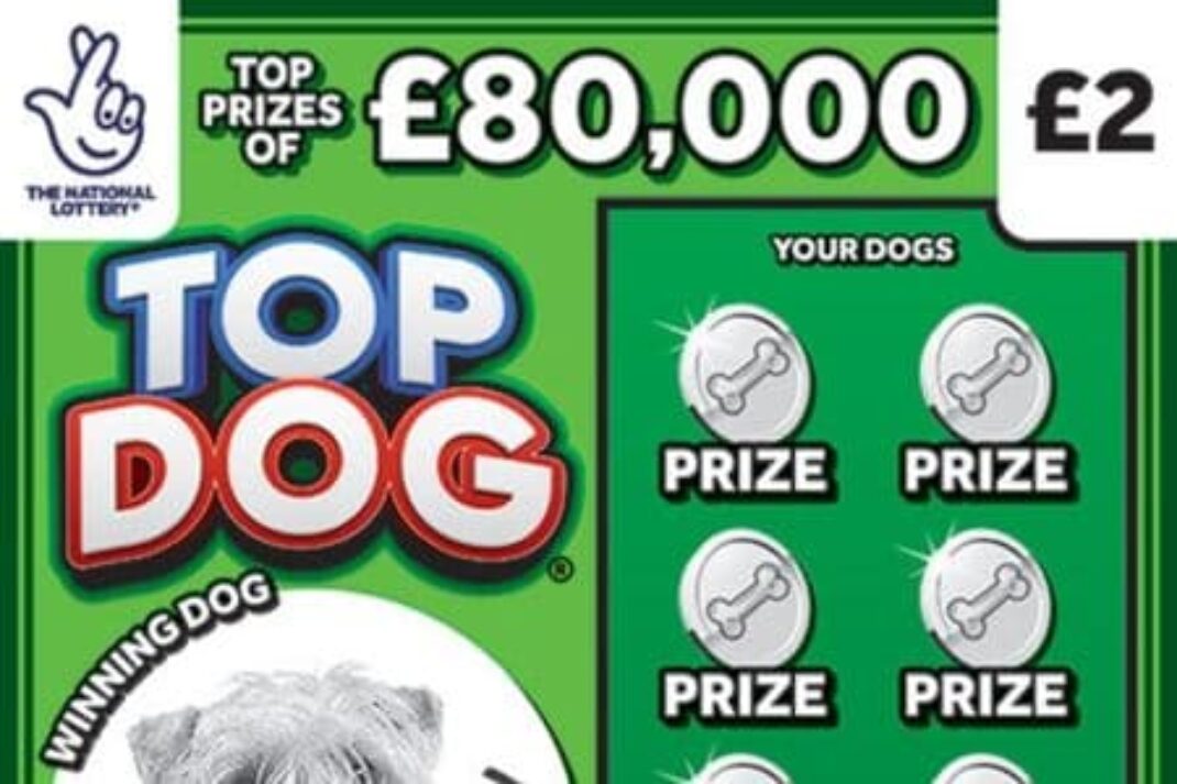 Scratch card Top Dog