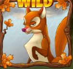 Fox WILD Seasons