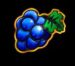 Symbol Grapes slot 2021 Hit Slot by Endorphina