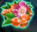 Symbol Orange Berries slot Winterberries by Yggdrasil