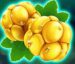 Symbol Yellow Berries slot Winterberries by Yggdrasil