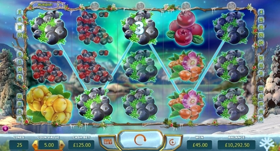 Winterberries slot preview of win