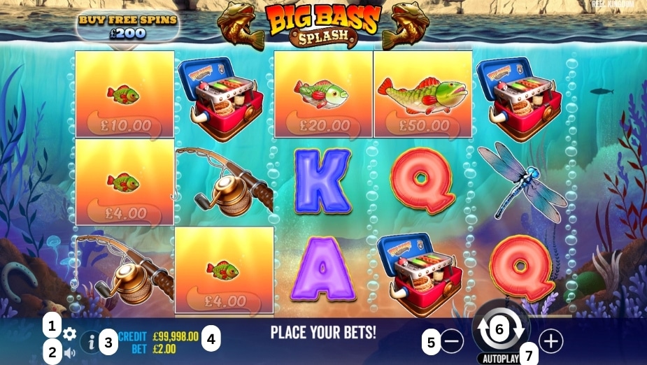 How to play Big Bass Splash slot