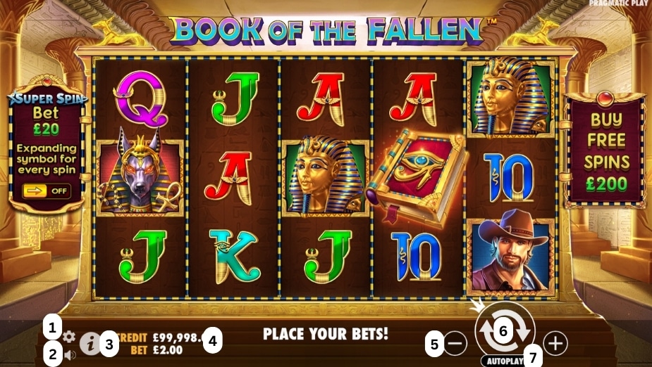 How to play Book of the Fallen slot