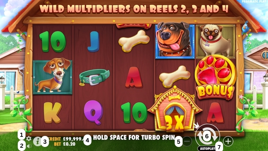 How to play The Dog House slot