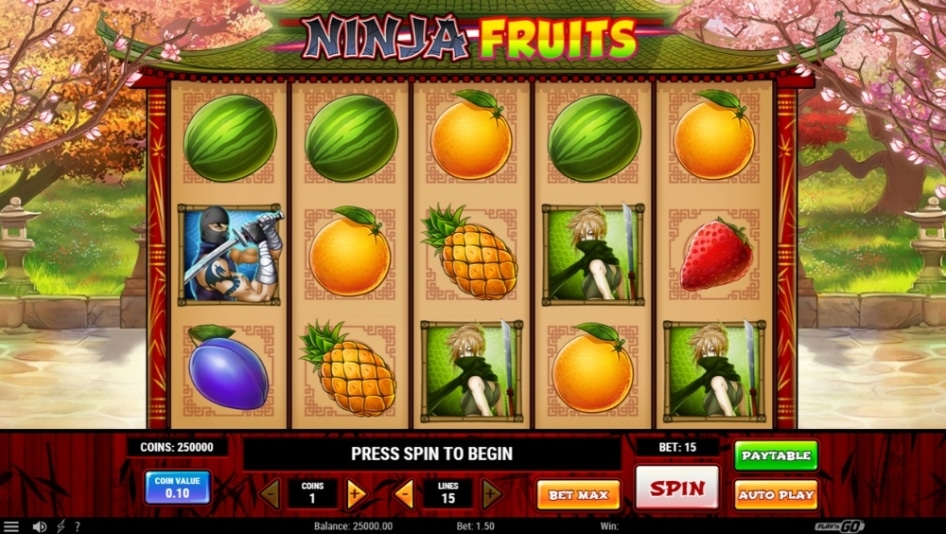 Ninja Fruits by Play'n GO