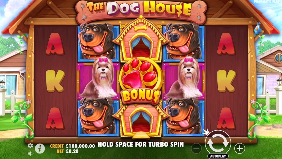 The Dog House by Pragmatic Play