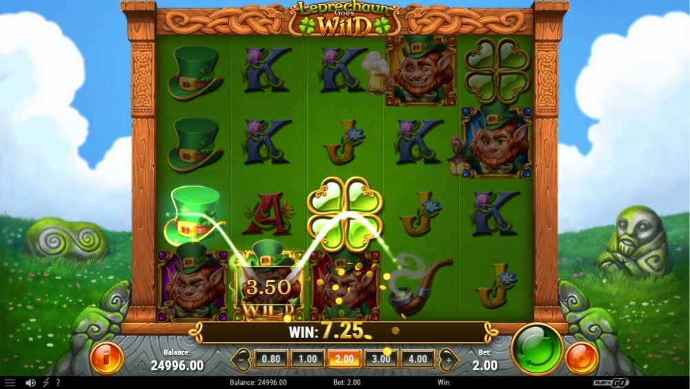 Theme and Symbols Leprechaun Goes Wild