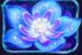 Symbol Blue flower slot Firefly Frenzy by Play'n GO