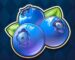 Symbol Blueberries slot Multifruit 81 by Play'n GO