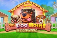 The Dog House Megaways by Pragmatic Play