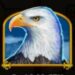 Symbol Eagle slot Wolf Gold by Pragmatic Play