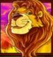Symbol Lion slot Photo Safari by Play'n GO