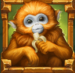 Symbol Monkey slot Rainforest Magic by Play'n GO