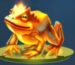 Symbol Orange frog slot Fire Toad by Play'n GO