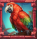 Symbol Parrot slot Rainforest Magic by Play'n GO