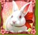 Symbol Rabbit slot Easter Eggs by Play'n GO