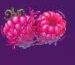 Symbol Raspberries slot Cash Vandal by Play'n GO