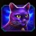 Symbol Black Cat slot Madame Destiny by Pragmatic Play