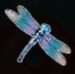 Symbol Dragonfly slot Big Bass Splash by Pragmatic Play