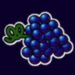 Symbol Grapes slot Sizzling Hot by Novomatic