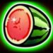 Symbol Watermelon slot Mega Joker by Novomatic