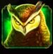 Symbol Owl slot Madame Destiny by Pragmatic Play