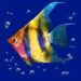 Symbol Tropical Fish slot Dolphin’s Pearl Deluxe by Novomatic