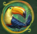 Symbol Toucan slot Rainforest Magic by Play'n GO