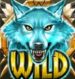 Symbol WILD Symbol slot Coywolf Cash by Play'n GO