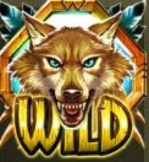 Symbol Brown WILD slot Coywolf Cash by Play'n GO