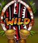 Symbol WILD Symbol slot Photo Safari by Play'n GO