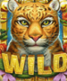 Symbol WILD Symbol slot Rainforest Magic by Play'n GO