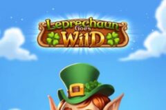 Leprechaun Goes Wild by Play'n GO