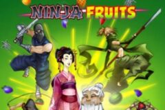 Ninja Fruits by Play'n GO