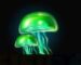 Symbol Green Jellyfish slot Dumb Fish by Casimi
