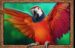 Symbol Parrot slot 3 Genie Wishes™ by Pragmatic Play