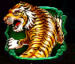 Symbol Tiger slot 8 Dragons™ by Pragmatic Play