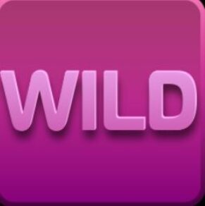 Symbol WILD Symbol slot Bookmaker’s Line by Casimi