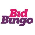Bid Bingo