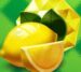 Symbol Lemons slot 81 Frutas Grandes by Tom Horn Gaming
