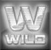 Symbol WILD Symbol slot Move it! by Casimi