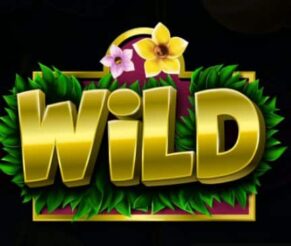 Symbol WILD Symbol slot My Fruits 81 by Casimi